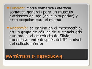 Patético o troclearPatético o troclear
Funcion: Motra somatica (eferncia
somatica general) para un musculo
extrinseco del ojo (oblicuo superior) y
propiocepcion para el mismo
Anatomía: se origina en el mesencefalo,
en un grupo de células de sustancia gris
que rodea al acueducto de Silvio,
inmediatamente después del III a nivel
del coliculo inferior
 