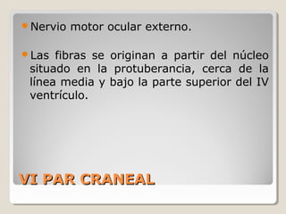 VI PAR CRANEALVI PAR CRANEAL
Nervio motor ocular externo.
Las fibras se originan a partir del núcleo
situado en la protuberancia, cerca de la
línea media y bajo la parte superior del IV
ventrículo.
 