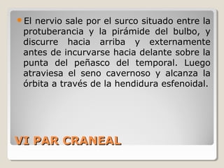VI PAR CRANEALVI PAR CRANEAL
El nervio sale por el surco situado entre la
protuberancia y la pirámide del bulbo, y
discurre hacia arriba y externamente
antes de incurvarse hacia delante sobre la
punta del peñasco del temporal. Luego
atraviesa el seno cavernoso y alcanza la
órbita a través de la hendidura esfenoidal.
 