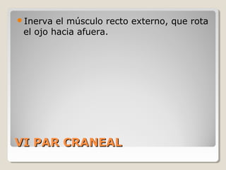 VI PAR CRANEALVI PAR CRANEAL
Inerva el músculo recto externo, que rota
el ojo hacia afuera.
 