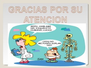 Aparato de la vision......