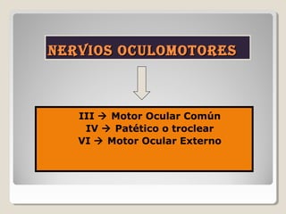 Nervios oculomotoresNervios oculomotores
III  Motor Ocular Común
IV  Patético o troclear
VI  Motor Ocular Externo
 