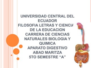 UNIVERSIDAD CENTRAL DEL
          ECUADOR
FILOSOFIA LETRAS Y CIENCIAS
      DE LA EDUCACION
    CARRERA DE CIENCIAS
   NATURALES BIOLOGIA Y
           QUIMICA
     APARATO DIGESTIVO
        ABAD MARITZA
      5TO SEMESTRE “A”
 