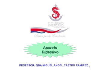 Aparato Digestivo PROFESOR: QBA MIGUEL ANGEL CASTRO RAMIREZ 