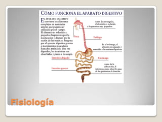Fisiología 