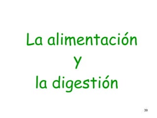 39
La alimentación
y
la digestión
 