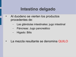 Intestino delgado
• Al duodeno se vierten los productos
procedentes de:
– Las glándulas intestinales: jugo intestinal
– Páncreas: Jugo pancreático
– Higado: Bilis
• La mezcla resultante se denomina QUILO
 