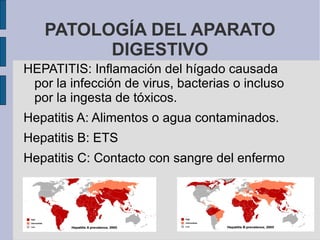 PATOLOGÍA DEL APARATO
DIGESTIVO
HEPATITIS: Inflamación del hígado causada
por la infección de virus, bacterias o incluso
por la ingesta de tóxicos.
Hepatitis A: Alimentos o agua contaminados.
Hepatitis B: ETS
Hepatitis C: Contacto con sangre del enfermo
 