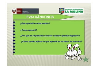 EVALUÁNDONOS
¿Qué aprendí en esta sesión?


¿Cómo aprendí?

¿Por qué es importante conocer nuestro aparato digestivo?

¿Cómo puedo aplicar lo que aprendí en mi labor de docente?
 