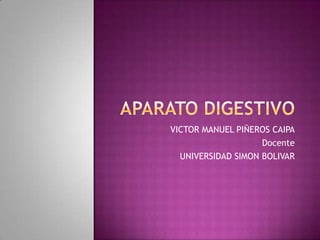 aparato digestivo VICTOR MANUEL PIÑEROS CAIPA Docente UNIVERSIDAD SIMON BOLIVAR 