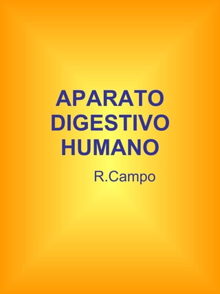 APARATO DIGESTIVO HUMANO R.Campo 