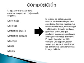 El aparato digestivo esta
compuesto por un conjunto de
órganos:
                               El interior de estos órganos
Estomago                      huecos está revestido por una
                               membrana llamada mucosa. La
Esófago                       mucosa de la boca, el estómago
                               y el intestino delgado contiene
Intestino grueso              glándulas diminutas que
                               producen jugos que contribuyen
Intestino delgado             a la digestión de los alimentos.
                               El tracto digestivo también
Faringe                       contiene una capa muscular
                               suave que ayuda a transformar
Boca                          los alimentos y transportarlos a
                               lo largo del tubo.
Recto

Ano
 