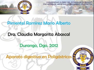 Pimentel Ramírez Mario Alberto

Dra. Claudia Margarita Abascal

       Durango, Dgo. 2012

Aparato digestivo en Poligástricos
 