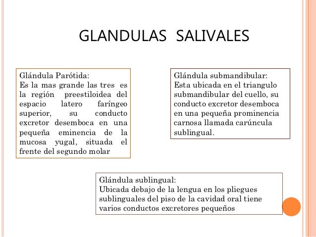 Si duele la espalda y es necesario trabajar