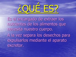 ¿QUÉ ES?
Es el encargado de extraer los
nutrientes de los alimentos que
necesita nuestro cuerpo.
A la vez separa los desechos para
expulsarlos mediante el aparato
excretor.
 