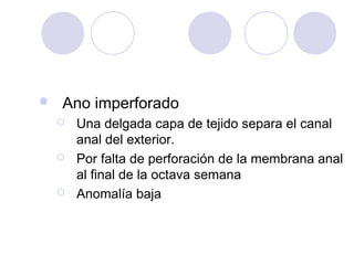 

Ano imperforado






Una delgada capa de tejido separa el canal
anal del exterior.
Por falta de perforación de la membrana anal
al final de la octava semana
Anomalía baja

 