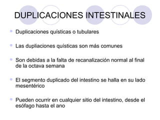 DUPLICACIONES INTESTINALES


Duplicaciones quísticas o tubulares



Las dupliaciones quísticas son más comunes



Son debidas a la falta de recanalización normal al final
de la octava semana



El segmento duplicado del intestino se halla en su lado
mesentérico



Pueden ocurrir en cualquier sitio del intestino, desde el
esófago hasta el ano

 