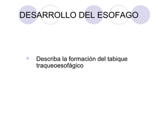 DESARROLLO DEL ESOFAGO



Describa la formación del tabique
traqueoesofágico

 