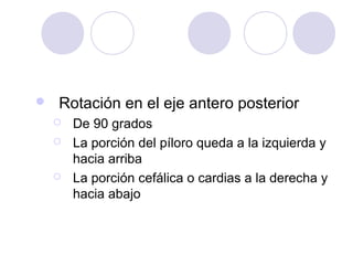 

Rotación en el eje antero posterior





De 90 grados
La porción del píloro queda a la izquierda y
hacia arriba
La porción cefálica o cardias a la derecha y
hacia abajo

 