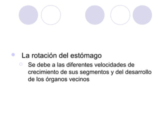 

La rotación del estómago


Se debe a las diferentes velocidades de
crecimiento de sus segmentos y del desarrollo
de los órganos vecinos

 