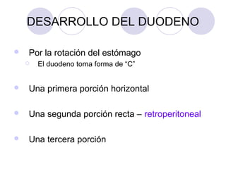 DESARROLLO DEL DUODENO


Por la rotación del estómago


El duodeno toma forma de “C”



Una primera porción horizontal



Una segunda porción recta – retroperitoneal



Una tercera porción

 