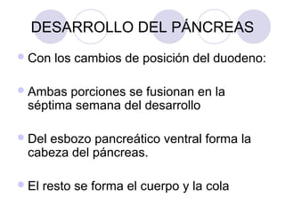 DESARROLLO DEL PÁNCREAS
 Con

los cambios de posición del duodeno:

 Ambas

porciones se fusionan en la
séptima semana del desarrollo

 Del

esbozo pancreático ventral forma la
cabeza del páncreas.

 El

resto se forma el cuerpo y la cola

 