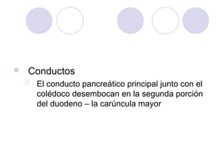 

Conductos


El conducto pancreático principal junto con el
colédoco desembocan en la segunda porción
del duodeno – la carúncula mayor

 