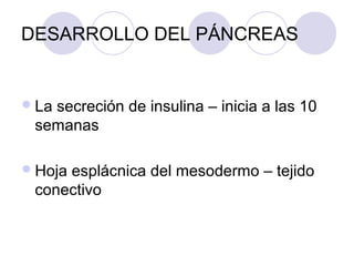 DESARROLLO DEL PÁNCREAS

 La

secreción de insulina – inicia a las 10
semanas

 Hoja

esplácnica del mesodermo – tejido
conectivo

 