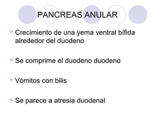PANCREAS ANULAR
 Crecimiento

de una yema ventral bífida
alrededor del duodeno

 Se

comprime el duodeno duodeno

 Vómitos
 Se

con bilis

parece a atresia duodenal

 