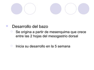 

Desarrollo del bazo


Se origina a partir de mesenquima que crece
entre las 2 hojas del mesogastrio dorsal



Inicia su desarrollo en la 5 semana

 