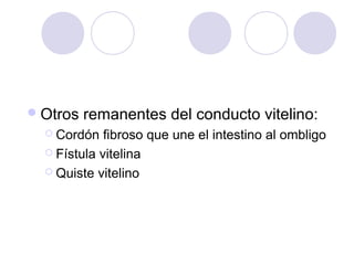  Otros

remanentes del conducto vitelino:

 Cordón

fibroso que une el intestino al ombligo
 Fístula vitelina
 Quiste vitelino

 
