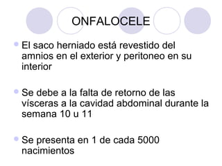 ONFALOCELE
 El

saco herniado está revestido del
amnios en el exterior y peritoneo en su
interior

 Se

debe a la falta de retorno de las
vísceras a la cavidad abdominal durante la
semana 10 u 11

 Se

presenta en 1 de cada 5000
nacimientos

 