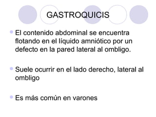 GASTROQUICIS
 El

contenido abdominal se encuentra
flotando en el líquido amniótico por un
defecto en la pared lateral al ombligo.

 Suele

ocurrir en el lado derecho, lateral al
ombligo

 Es

más común en varones

 