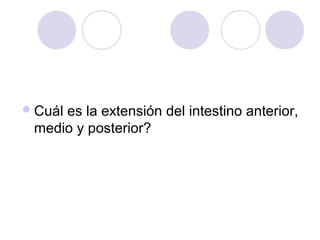  Cuál

es la extensión del intestino anterior,
medio y posterior?

 