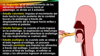 • La deglución es el desplazamiento de los
alimentos desde la boca hacia el
estomago, se divide en 3 estadios:
• Estadio voluntario: impulsa el movimiento del
bolo hacia la parte posterior de la cavidad
bucal y la orofaringe a través de
desplazamiento de la lengua hacia arriba y
atrás contra el paladar.
• Estadio faríngeo: es cuando el bolo ingresa
en la orofaringe, la respiración se interrumpe
y después que el bolo atraviesa la orofaringe
las vías respiratorias se vuelven abrir.
• Estadio esofágico: es cuando este se relaja y
el bolo ingresa al esófago, un proceso
llamado peristalsis que impulsa los alimentos
a través del esófago. Cuando el bolo se
acerca al final de esófago, el esfínter se
relaja y los alimentos ingresan al estomago.

 