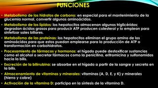 FUNCIONES
• Metabolismo de los hidratos de carbono: en especial para el mantenimiento de la
glucemia normal, convertir algunos aminoácidos.
• Metabolismo de los lípidos: los hepatocitos almacenan algunos triglicéridos;
degradan ácidos grasos para producir ATP producen colesterol y lo emplean para
sintetizar sales biliares.
• Metabolismo de las proteínas: los hepatocitos eliminan el grupo amino de los
aminoácidos para que estos puedan emplearse para la producción de ATP o
transformación en carbohidratos.
• Procesamiento de fármacos y hormonas: el hígado puede destoxificar sustancias
como el alcohol o secretar fármacos como la penicilina, eritromicina y sulfonamidas
hacia la bilis.
• Excreción de la bilirrubina: se absorbe en el hígado a partir de la sangre y secreta en
la bilis.
• Almacenamiento de vitaminas y minerales: vitaminas (A, D, E, y K) y minerales
(hierro y cobre)
• Activación de la vitamina D: participa en la síntesis de la vitamina D.

 