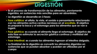 • Es el proceso de transformación de los alimentos, previamente
ingeridos, en sustancias más sencillas para ser absorbidos.
• La digestión se desarrolla en 3 fases:
• Fase cefálica: el olfato, la vista, el sonido o pensamiento relacionado
con los alimentos activa centros nerviosos en el encéfalo. El objetivo
es preparar la boca y el estomago para los alimentos que se van a
ingerir.
• Fase gástrica: es cuando el alimento llega al estomago. El objetivo de
esta fase es estimular la secreción gástrica continua y motilidad del
estomago.
• Fase intestinal: es cuando los alimentos ingresan al intestino delgado.
• La finalidad de la digestión es convertir los alimentos digeridos en
sustancias que se puedan absorber y puedan ser utilizadas por el
cuerpo

 