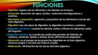 • Ingestión: ingreso de los alimentos y los líquidos en la boca.
• Secreción: liberación de agua, ácidos, sustancias amortiguadoras y
enzimas.
• Mezclado y propulsión: agitación y propulsión de los alimentos a través del
tubo digestivo.
• Digestión: hay dos tipos de digestión: la digestión mecánica y química.
Digestión mecánica: cuando los dientes cortan y trituran los alimentos antes
de tragarlos.

Digestión química: es cuando las moléculas grandes de hidratos de
carbono, proteínas, lípidos y ácidos de los alimentos los degradan.
• Absorción: es el pasaje de los productos digeridos en el tubo digestivo
hacia la sangre y circulan por todo el cuerpo.
• Defecación: eliminación de las heces del tubo digestivo.

 