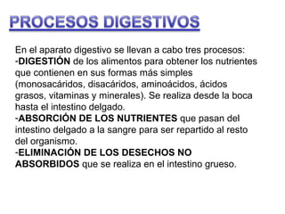 En el aparato digestivo se llevan a cabo tres procesos:
-DIGESTIÓN de los alimentos para obtener los nutrientes
que contienen en sus formas más simples
(monosacáridos, disacáridos, aminoácidos, ácidos
grasos, vitaminas y minerales). Se realiza desde la boca
hasta el intestino delgado.
-ABSORCIÓN DE LOS NUTRIENTES que pasan del
intestino delgado a la sangre para ser repartido al resto
del organismo.
-ELIMINACIÓN DE LOS DESECHOS NO
ABSORBIDOS que se realiza en el intestino grueso.

 