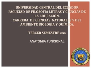 UNIVERSIDAD CENTRAL DEL ECUADOR
FACULTAD DE FILOSOFIA LETRAS Y CIENCIAS DE
LA EDUCACIÓN.
CARRERA DE CIENCIAS NATURALES Y DEL
AMBIENTE BIOLOGÍA Y QUÍMICA.
TERCER SEMESTRE «A»
ANATOMIA FUNCIONAL
 