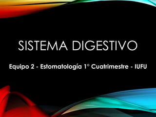 SISTEMA DIGESTIVO 
Equipo 2 - Estomatología 1° Cuatrimestre - IUFU 
 