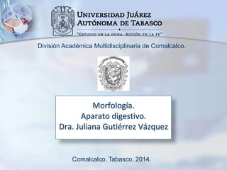 División Académica Multidisciplinaria de Comalcalco. 
Morfología. 
Aparato digestivo. 
Dra. Juliana Gutiérrez Vázquez 
Comalcalco, Tabasco, 2014. 
 