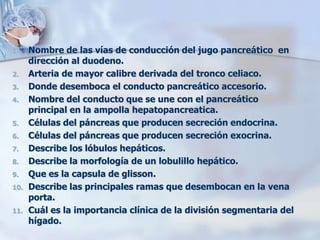 1. Nombre de las vías de conducción del jugo pancreático en 
dirección al duodeno. 
2. Arteria de mayor calibre derivada del tronco celiaco. 
3. Donde desemboca el conducto pancreático accesorio. 
4. Nombre del conducto que se une con el pancreático 
principal en la ampolla hepatopancreatica. 
5. Células del páncreas que producen secreción endocrina. 
6. Células del páncreas que producen secreción exocrina. 
7. Describe los lóbulos hepáticos. 
8. Describe la morfología de un lobulillo hepático. 
9. Que es la capsula de glisson. 
10. Describe las principales ramas que desembocan en la vena 
porta. 
11. Cuál es la importancia clínica de la división segmentaria del 
hígado. 
 