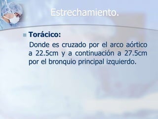 Estrechamiento. 
 Torácico: 
Donde es cruzado por el arco aórtico 
a 22.5cm y a continuación a 27.5cm 
por el bronquio principal izquierdo. 
 