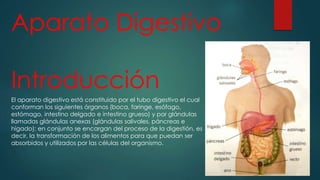 Aparato Digestivo 
Introducción 
El aparato digestivo está constituido por el tubo digestivo el cual 
conforman los siguientes órganos (boca, faringe, esófago, 
estómago, intestino delgado e intestino grueso) y por glándulas 
llamadas glándulas anexas (glándulas salivales, páncreas e 
hígado); en conjunto se encargan del proceso de la digestión, es 
decir, la transformación de los alimentos para que puedan ser 
absorbidos y utilizados por las células del organismo. 
 