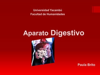 Universidad Yacambú
Facultad de Humanidades
Paula Brito
Aparato Digestivo
 