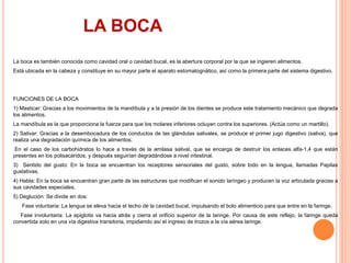 La boca es también conocida como cavidad oral o cavidad bucal, es la abertura corporal por la que se ingieren alimentos.
Está ubicada en la cabeza y constituye en su mayor parte el aparato estomatognático, así como la primera parte del sistema digestivo.
FUNCIONES DE LA BOCA
1) Masticar: Gracias a los movimientos de la mandíbula y a la presión de los dientes se produce este tratamiento mecánico que degrada
los alimentos.
La mandíbula es la que proporciona la fuerza para que los molares inferiores ocluyan contra los superiores. (Actúa como un martillo).
2) Salivar: Gracias a la desembocadura de los conductos de las glándulas salivales, se produce el primer jugo digestivo (saliva), que
realiza una degradación química de los alimentos.
En el caso de los carbohidratos lo hace a través de la amilasa salival, que se encarga de destruir los enlaces alfa-1,4 que están
presentes en los polisacáridos, y después seguirían degradándose a nivel intestinal.
3) Sentido del gusto: En la boca se encuentran los receptores sensoriales del gusto, sobre todo en la lengua, llamadas Papilas
gustativas.
4) Habla: En la boca se encuentran gran parte de las estructuras que modifican el sonido laríngeo y producen la voz articulada gracias a
sus cavidades especiales.
5) Deglución: Se divide en dos:
Fase voluntaria: La lengua se eleva hacia el techo de la cavidad bucal, impulsando el bolo alimenticio para que entre en la faringe.
Fase involuntaria: La epiglotis va hacia atrás y cierra el orificio superior de la laringe. Por causa de este reflejo, la faringe queda
convertida solo en una vía digestiva transitoria, impidiendo así el ingreso de trozos a la vía aérea laringe.
LA BOCA
 