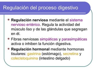 Regulación del proceso digestivo
 Regulación nerviosa mediante el sistema
nervioso entérico. Regula la actividad del
músculo liso y de las glándulas que segregan
en él.
 Fibras nerviosas simpáticas y parasimpáticas
activa o inhiben la función digestiva.
 Regulación hormonal mediante hormonas
tisulares: gastrina (estómago), secretina y
colecistoquinina (intestino delgado)
 