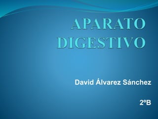 David Álvarez Sánchez
2ºB
 