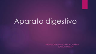 Aparato digestivo
PROFESORA: MARGARITA CORREA
CARLA HASSAN
 